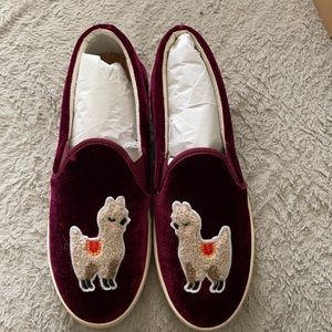 BRAND NEW LLAMA SNEAKERS FROM SOLUDOS
